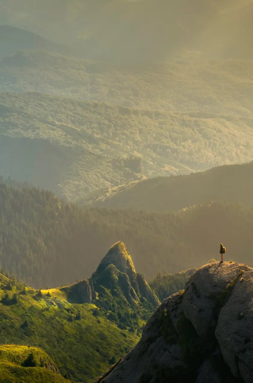 ビジョンとミッション
